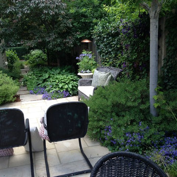 Modern relaxed garden