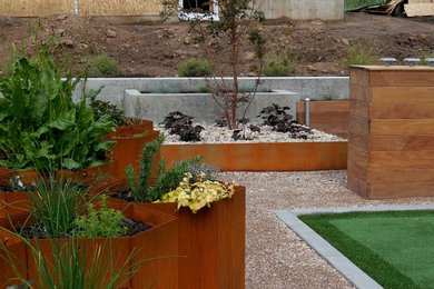 Идея дизайна: солнечный засухоустойчивый сад среднего размера на заднем дворе в современном стиле с хорошей освещенностью, покрытием из гравия и подпорной стенкой