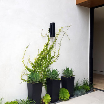 Modern simplicity