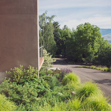 Modern street scape with Sesleria autumnalis