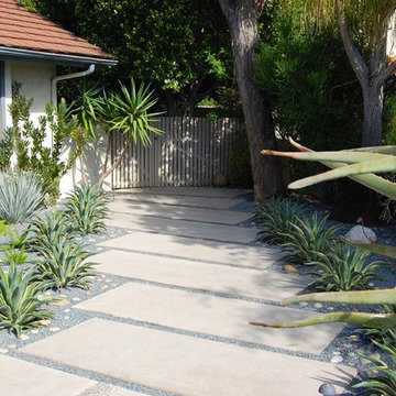 Modern succulent garden in Pacific Beach
