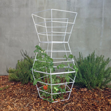 Modern Tomato Cage & Plant Support