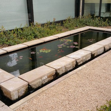 Modern Tranquility