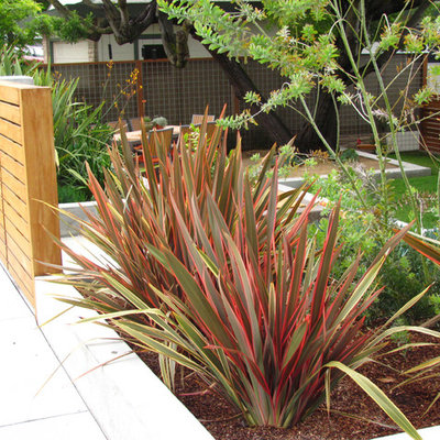 This is an example of a contemporary front yard landscaping in San Francisco.