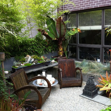 Modern Tropical Courtyard