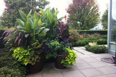 Design ideas for a tropical landscaping in Vancouver.