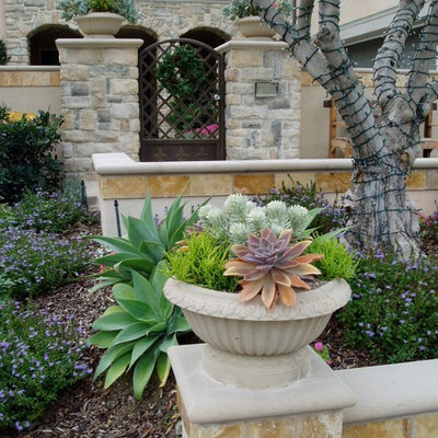 Design ideas for a mediterranean hillside stone landscaping in San Diego.