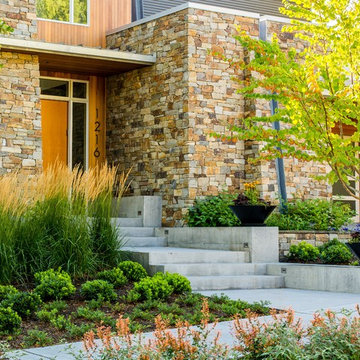 Modern Urban Warmth, Capitol Hill