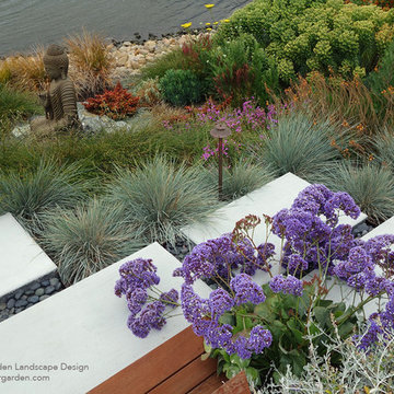 Modern Water-Side Landscape Remodel and Lawn Replacement - Backyard, Novato, CA