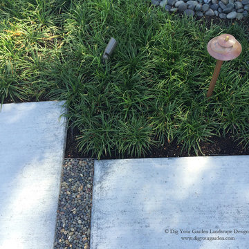 Modern Water-Side Landscape Remodel - Front Lawn Replaced, Novato, CA