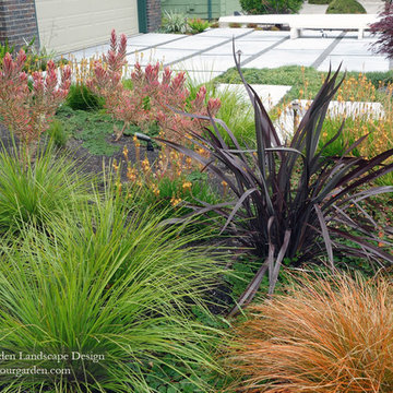 Modern Water-Side Landscape Remodel - Front Lawn Replaced, Novato, CA