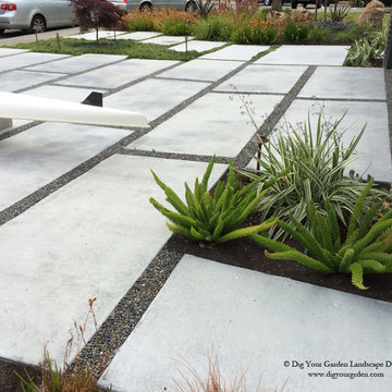 Modern Water-Side Landscape Remodel - Front Lawn Replaced, Novato, CA