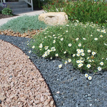 Modern Xeriscapes