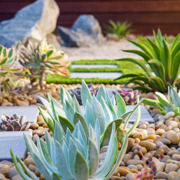 Modern Zen Garden Desert Succulent Planting
