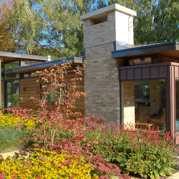 Modernist House
