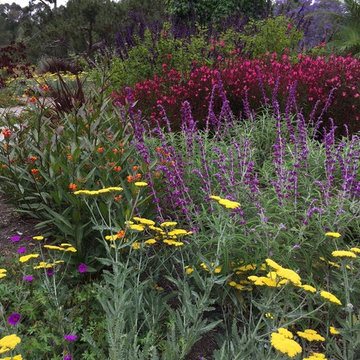 Monarch Sanctuary