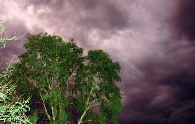 How to Get Your Landscape Ready for Summer Storms