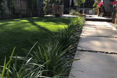 Photo of a transitional landscaping in San Francisco.