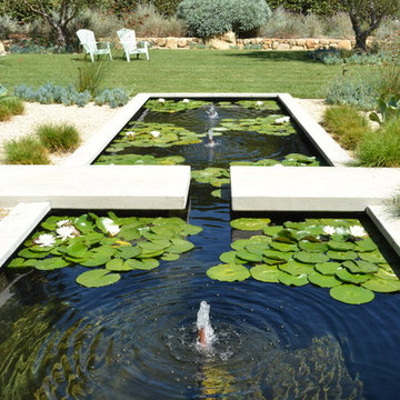Montecito Zen