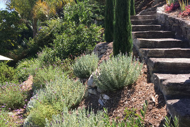 This is an example of a mediterranean sloped garden in Los Angeles.