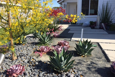 ロサンゼルスにある高級な広いコンテンポラリースタイルのおしゃれな前庭 (擁壁、コンクリート敷き	) の写真