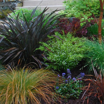 Moraga Country Club Small Frontyard
