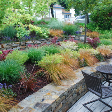 Moraga Country Club Small Frontyard