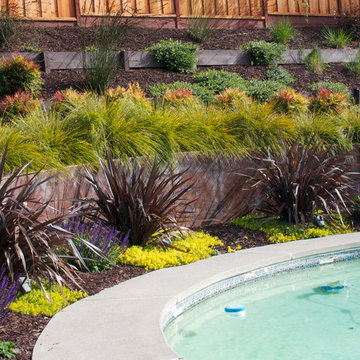 Moraga Hillside Pool