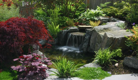 13 Pond Plants That Will Bring Your Aquatic Garden to Life