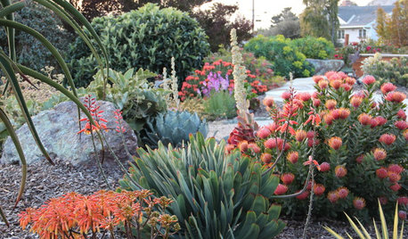 Top 10 Plants for Windy Gardens