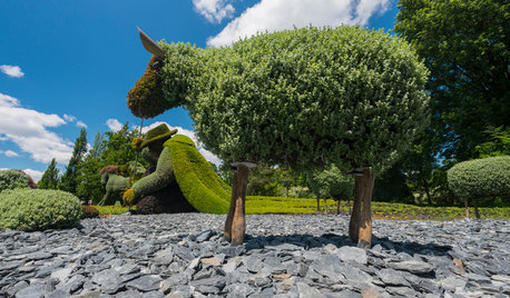 Топиарии: Нестандартные зеленые скульптуры в саду