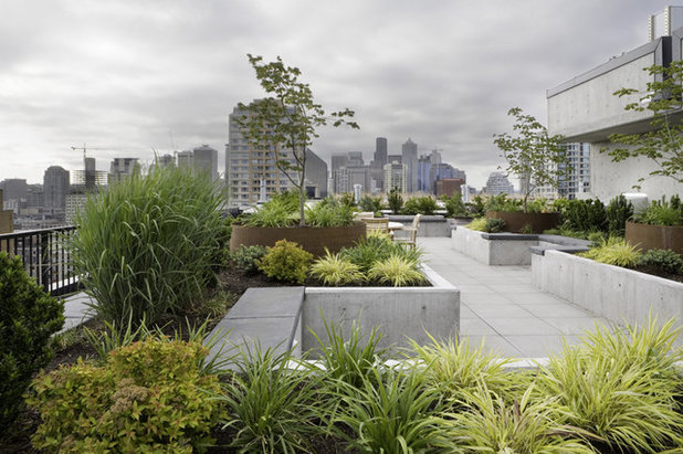 Modern Garden by Kenneth Philp Landscape Architects