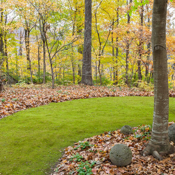 Moss & Moss Lawns
