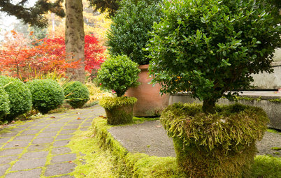 Evoke Mystery and History With Moss in the Garden