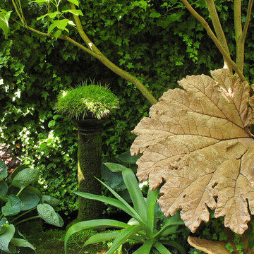Moss elements in the garden
