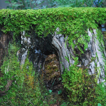 Mossy Bench -- Year-round Green