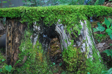 Mossy Bench -- Year-round Green