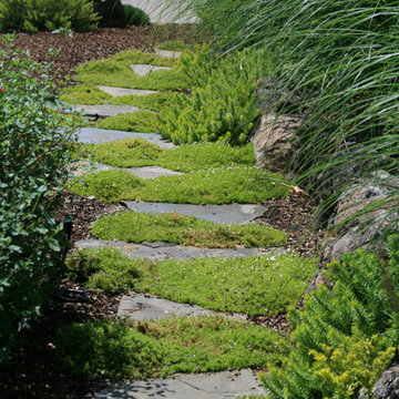 Mossy Stepping Stone Path