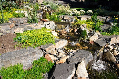 Diseño de jardín ecléctico en verano en patio trasero con jardín francés y estanque