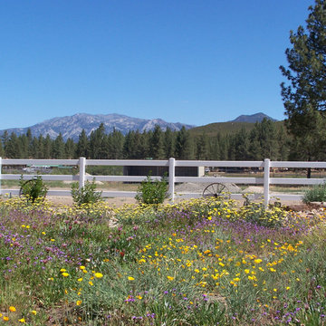 Mountain Home/Ranch