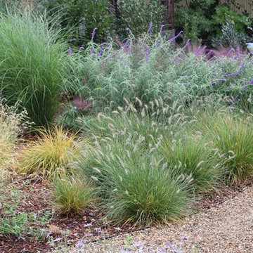 Movement in the landscape: ornamental grasses