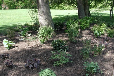 This is an example of a mid-sized shade backyard mulch landscaping in New York.