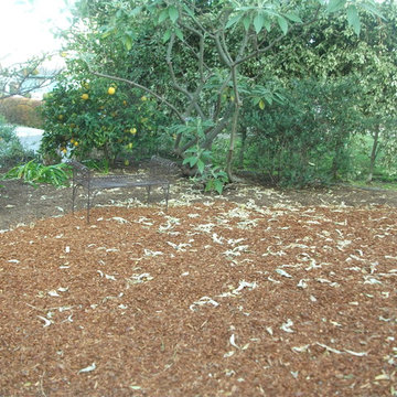 Mulch Garden
