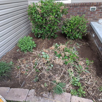 Mulch install- tearout and replace