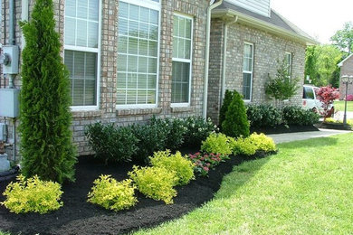 Inspiration for a traditional landscaping in Nashville.