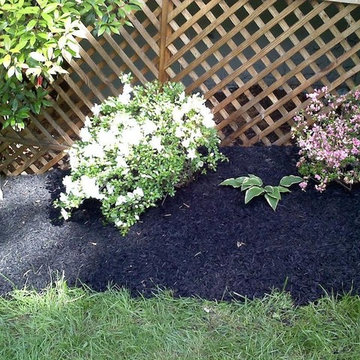 Mulching: Before and After