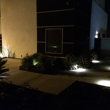 My Garden - Modern Contemporary - Nightscape