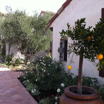 My Garden - Spanish Revival