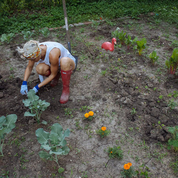 My Houzz: Backyard Farming for a Kansas City Family