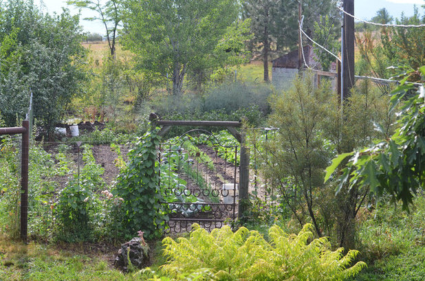 Rustic Landscape by Sarah Greenman